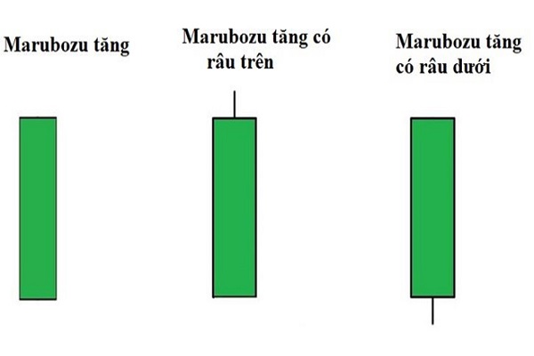 Biến thể của nến Marubozu tăng gồm 3 loại nến cơ bản
